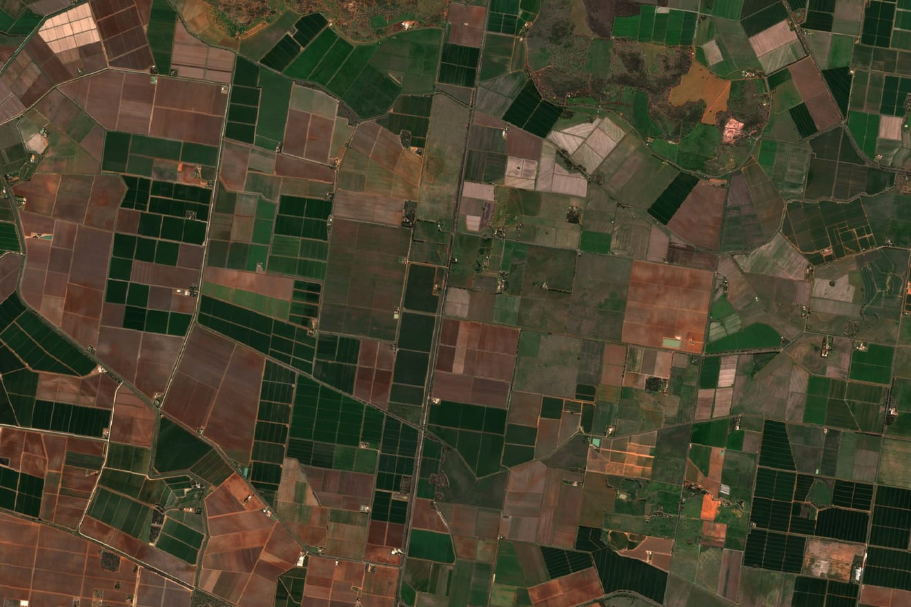 Natural-color satellite image, 18 by 12 kilometers: rectangular fields near Murrami, in the Riverina (New South Wales, Australia), on August 19, 2025.