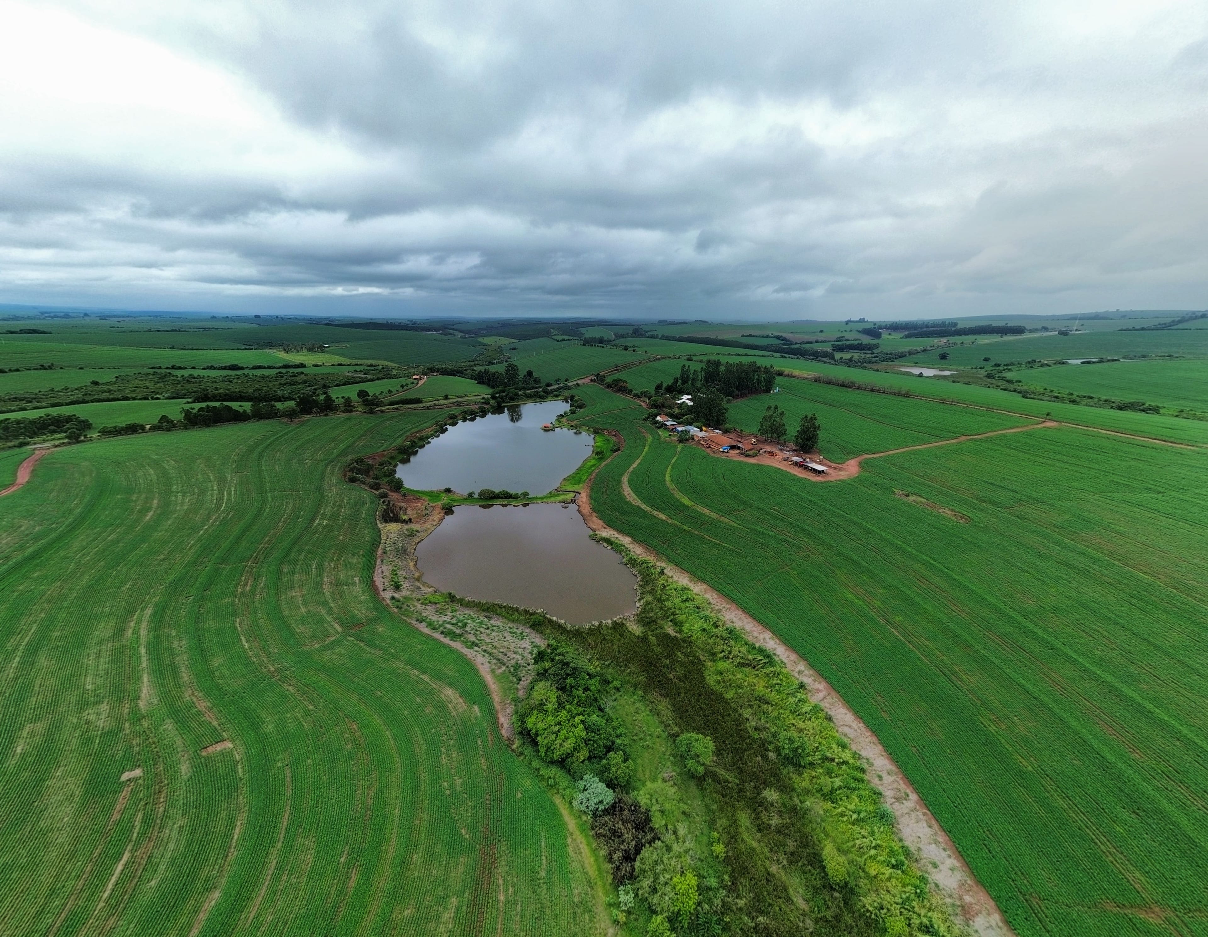 Aerial view of green fields planted in curves around two farm ponds in Brazil, with a strip of riparian vegetation along the stream and the farmstead in the distance, under an overcast sky.